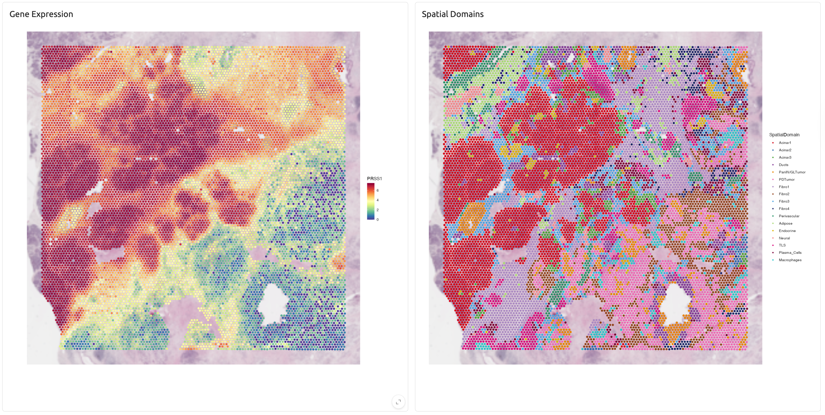 Spatial domains