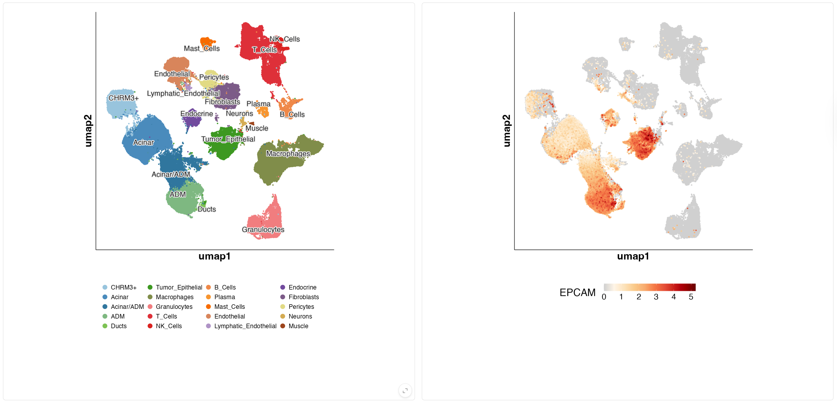 UMAP side-by-side