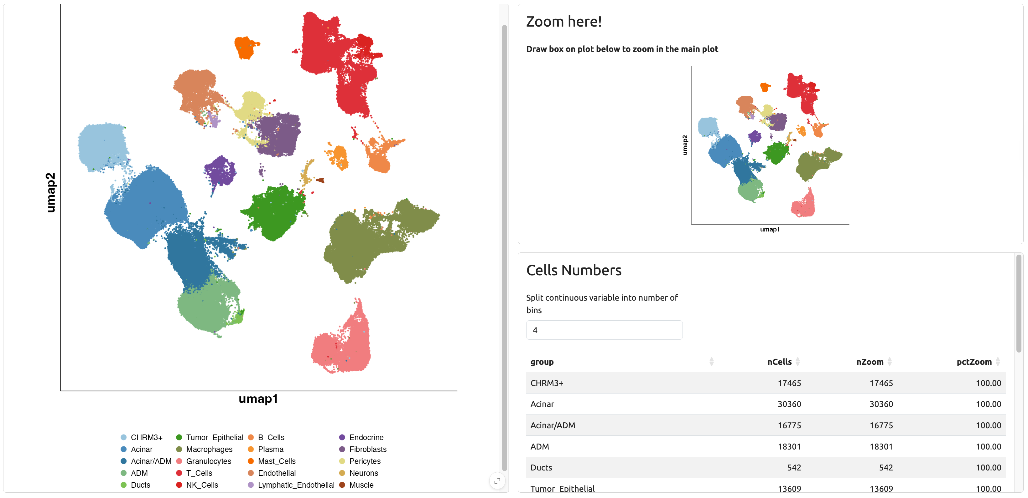 UMAP with Zoom