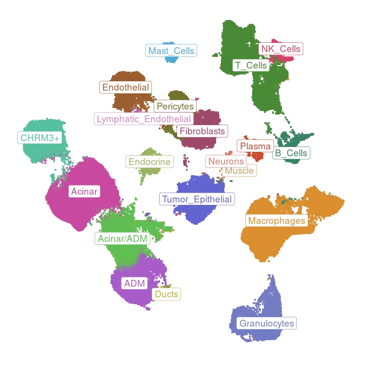 scRNAseq Atlas