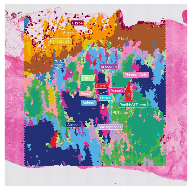Spatial Samples Visualizer